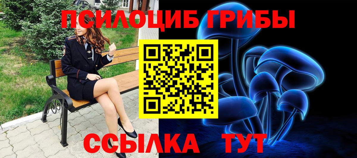 Галлюциногенные грибы GOLDEN TEACHER  Вход с VPN  Ревда 